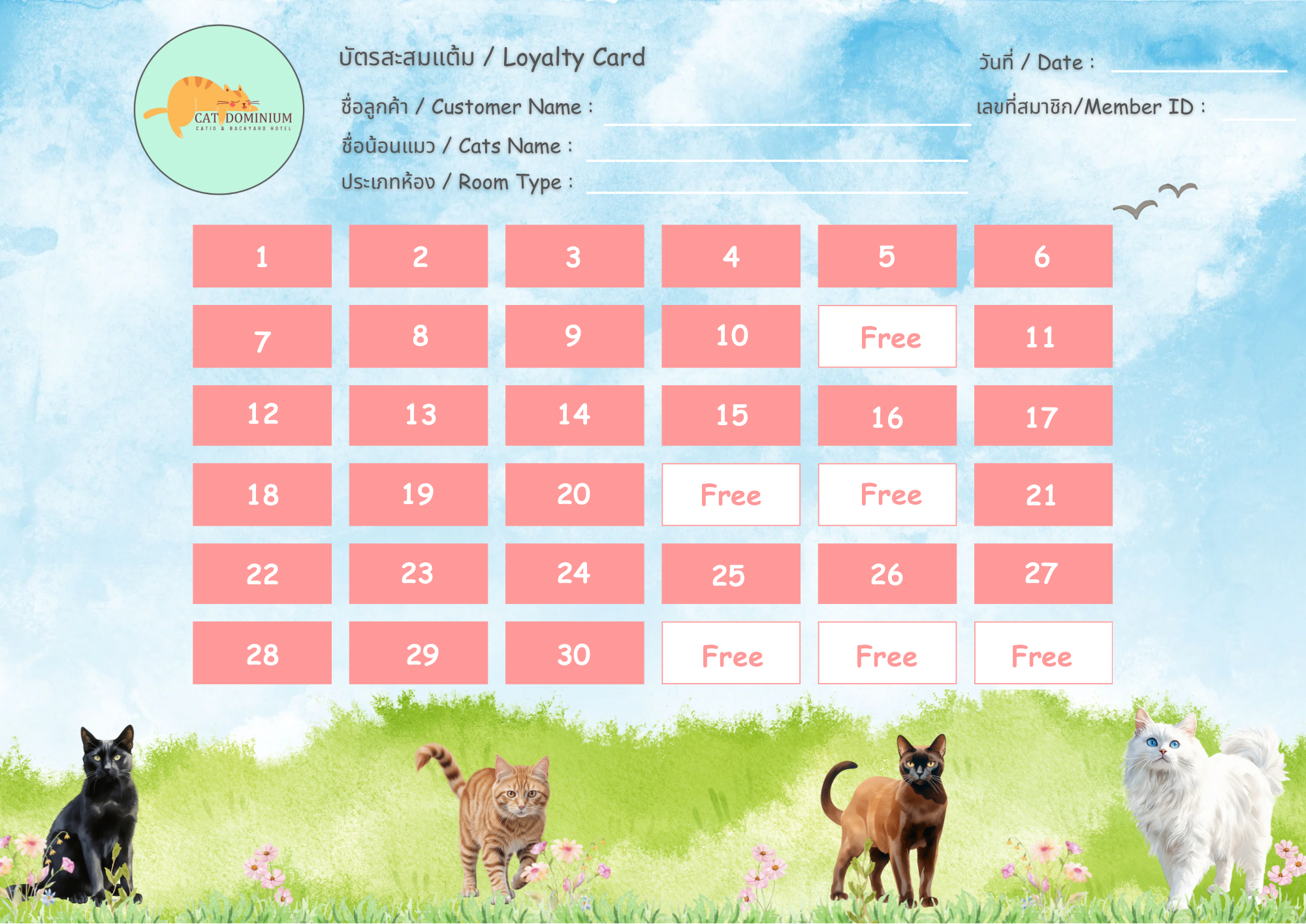 บัตรสะสมแต้ม Catdominium